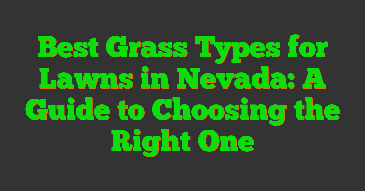 Best Grass Types for Lawns in Nevada: A Guide to Choosing the Right One