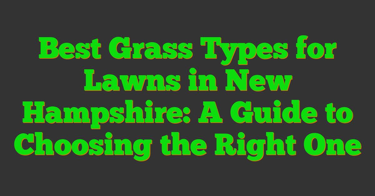 Best Grass Types for Lawns in New Hampshire: A Guide to Choosing the Right One