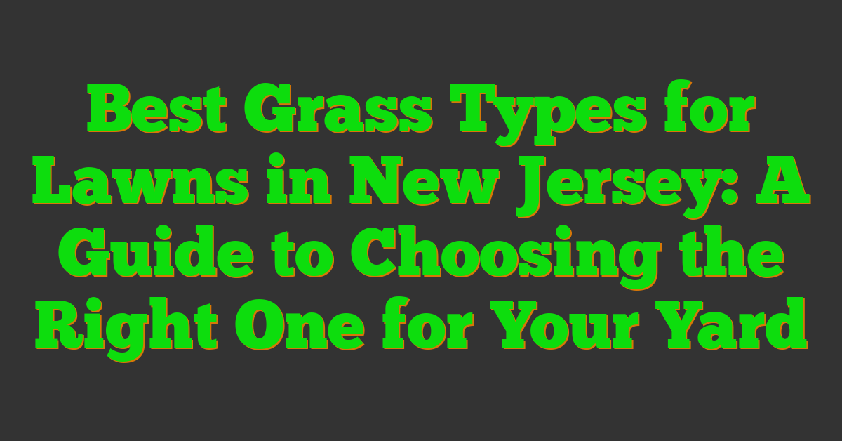 Best Grass Types for Lawns in New Jersey: A Guide to Choosing the Right One for Your Yard