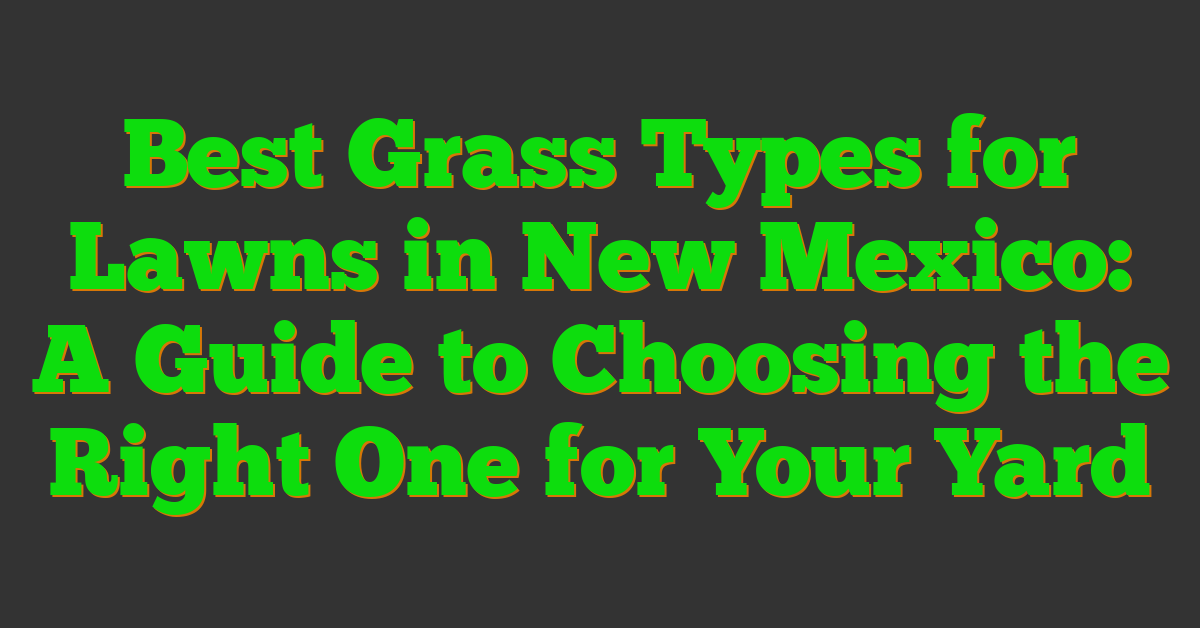 Best Grass Types for Lawns in New Mexico: A Guide to Choosing the Right One for Your Yard