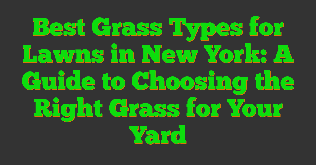 Best Grass Types for Lawns in New York: A Guide to Choosing the Right Grass for Your Yard