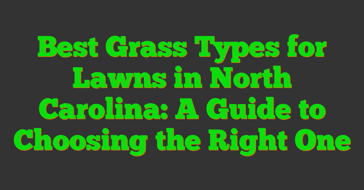 Best Grass Types for Lawns in North Carolina: A Guide to Choosing the Right One