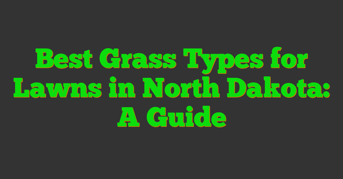 Best Grass Types for Lawns in North Dakota: A Guide