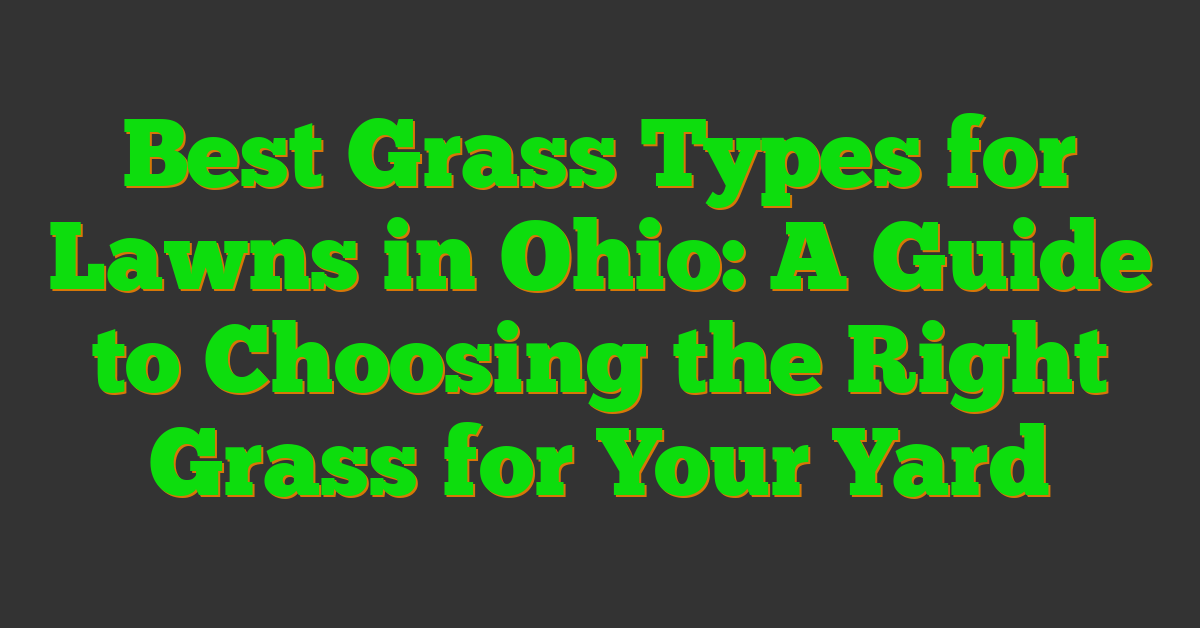 Best Grass Types for Lawns in Ohio: A Guide to Choosing the Right Grass for Your Yard