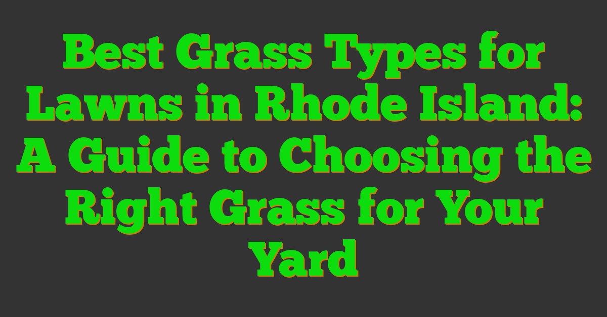 Best Grass Types for Lawns in Rhode Island: A Guide to Choosing the Right Grass for Your Yard