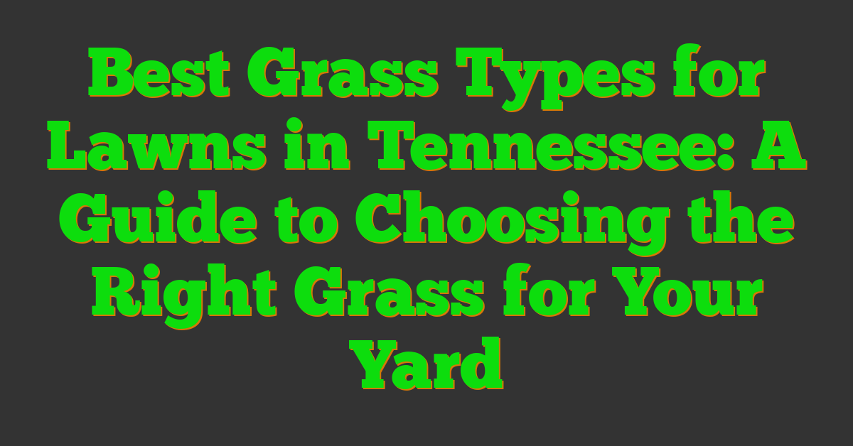 Best Grass Types for Lawns in Tennessee: A Guide to Choosing the Right Grass for Your Yard