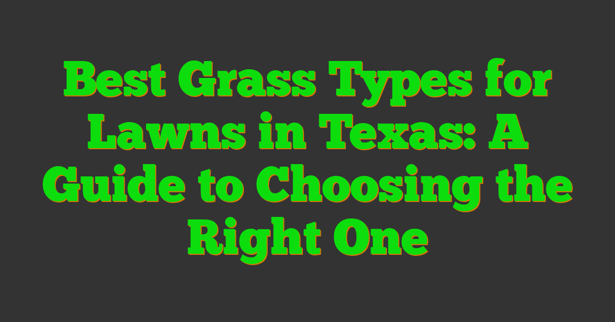 Best Grass Types for Lawns in Texas: A Guide to Choosing the Right One