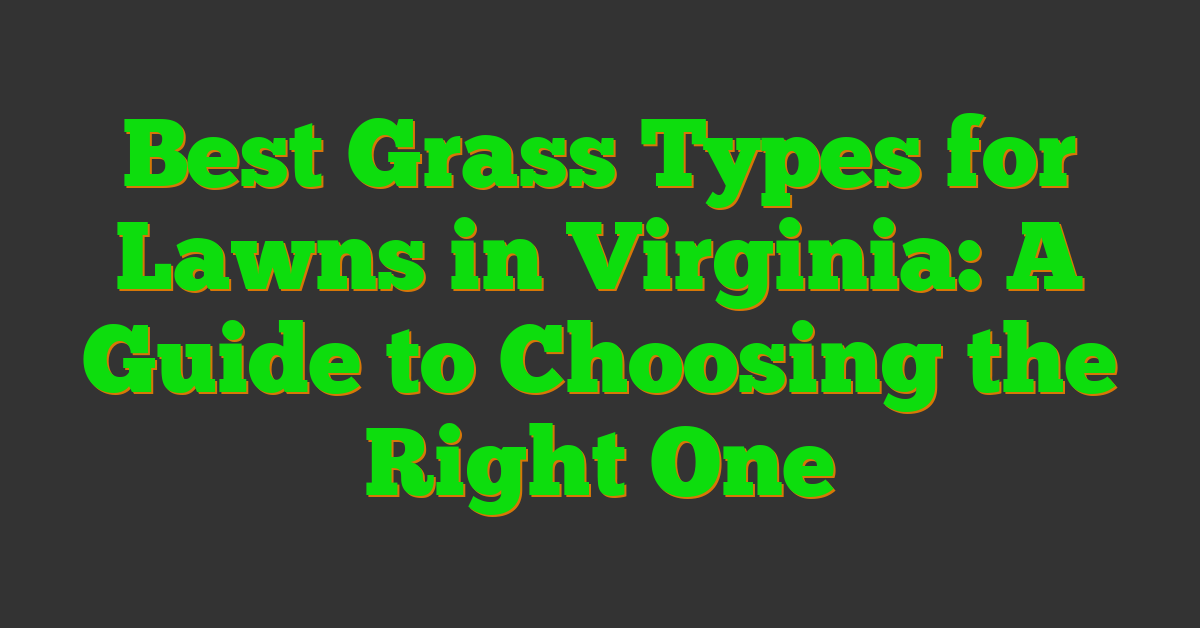 Best Grass Types for Lawns in Virginia: A Guide to Choosing the Right One