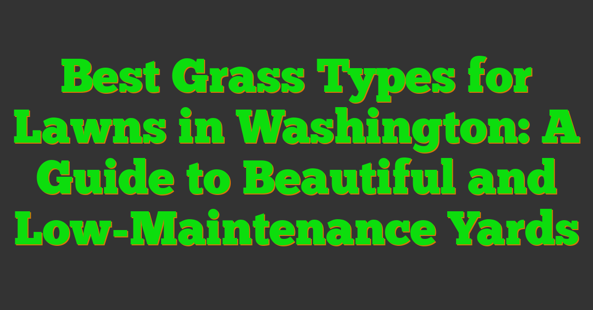 Best Grass Types for Lawns in Washington: A Guide to Beautiful and Low-Maintenance Yards