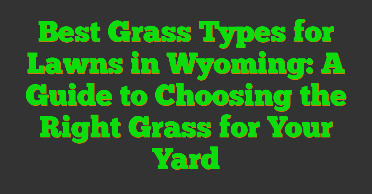 Best Grass Types for Lawns in Wyoming: A Guide to Choosing the Right Grass for Your Yard