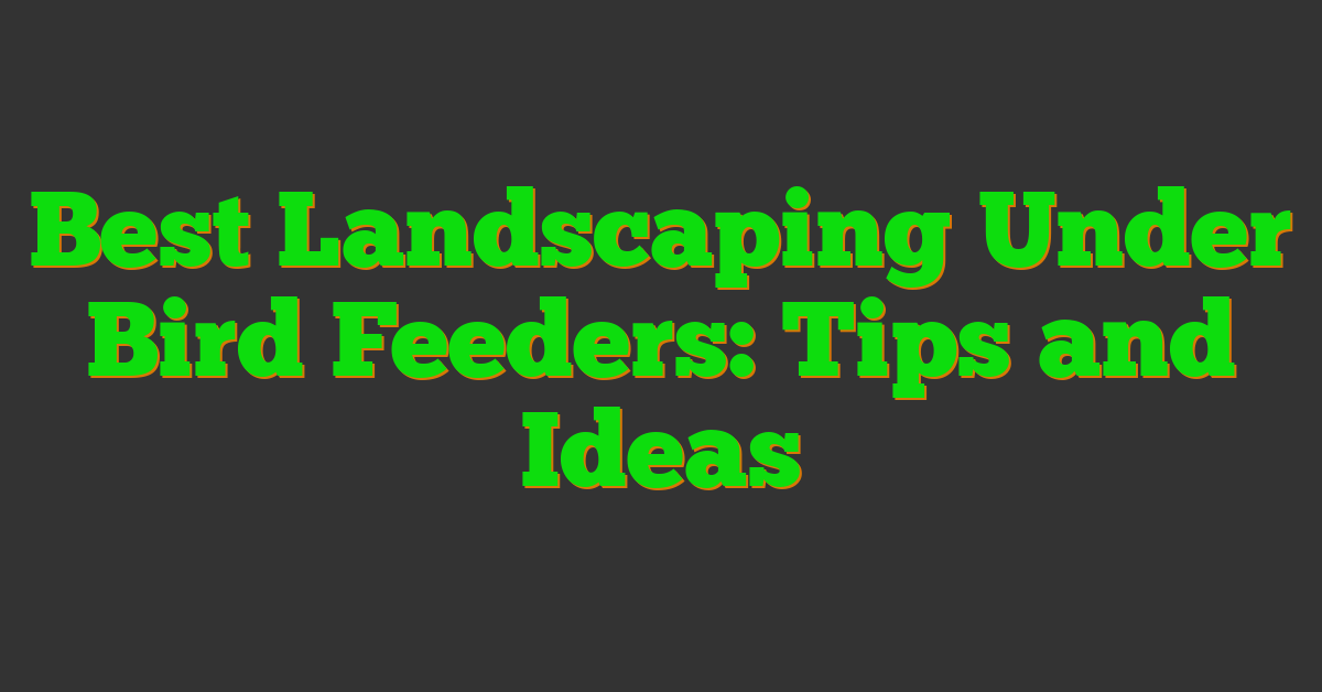 Best Landscaping Under Bird Feeders: Tips and Ideas