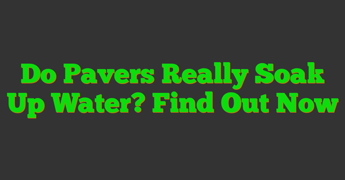 Do Pavers Really Soak Up Water? Find Out Now