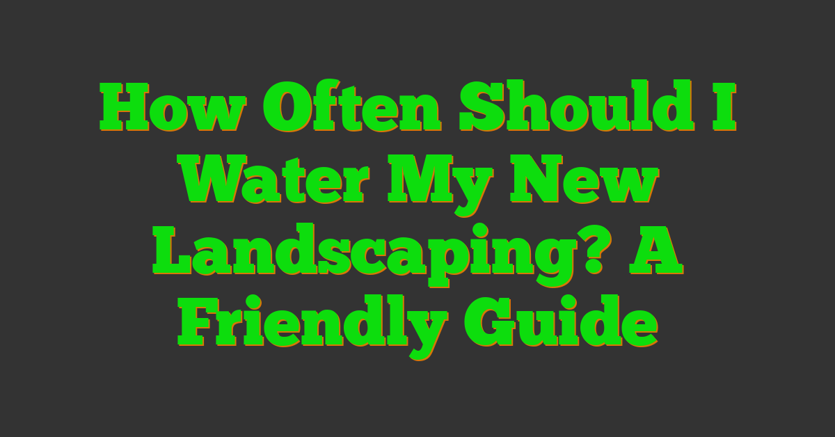 How Often Should I Water My New Landscaping? A Friendly Guide