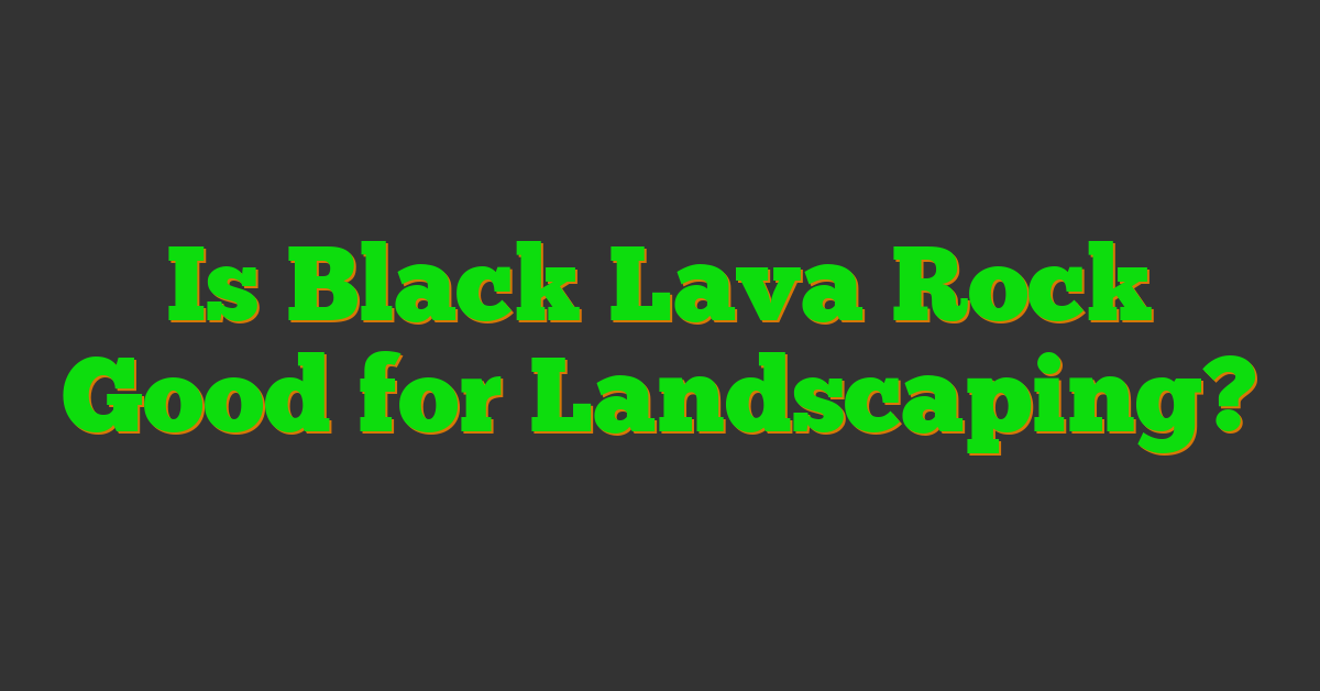 Is Black Lava Rock Good for Landscaping?