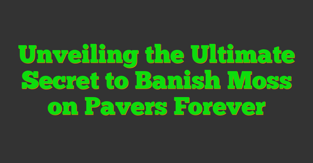 Unveiling the Ultimate Secret to Banish Moss on Pavers Forever