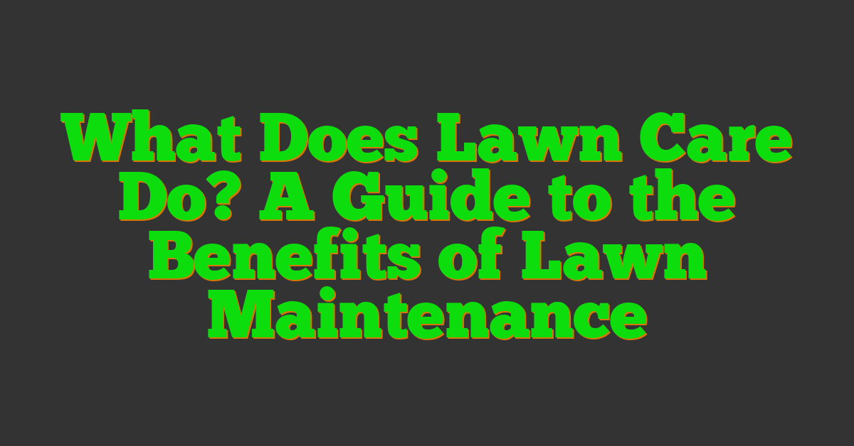 What Does Lawn Care Do? A Guide to the Benefits of Lawn Maintenance