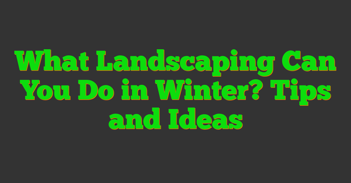 What Landscaping Can You Do in Winter? Tips and Ideas