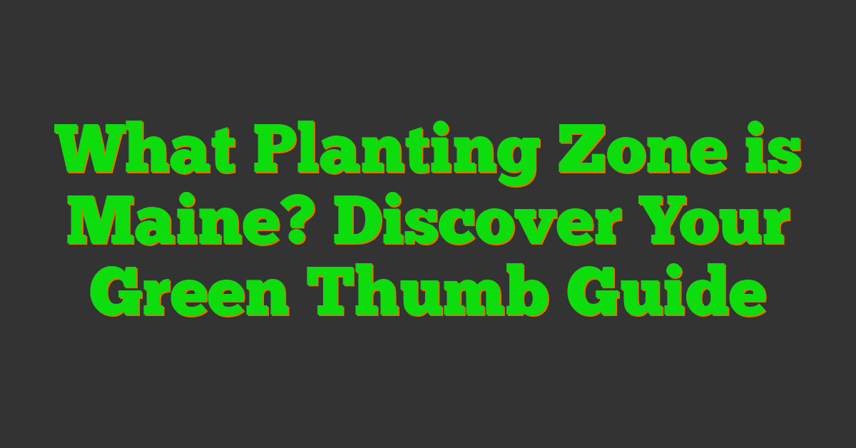 What Planting Zone is Maine? Discover Your Green Thumb Guide