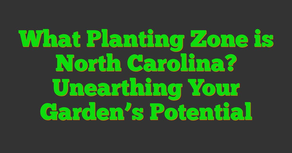 What Planting Zone is North Carolina? Unearthing Your Garden’s Potential