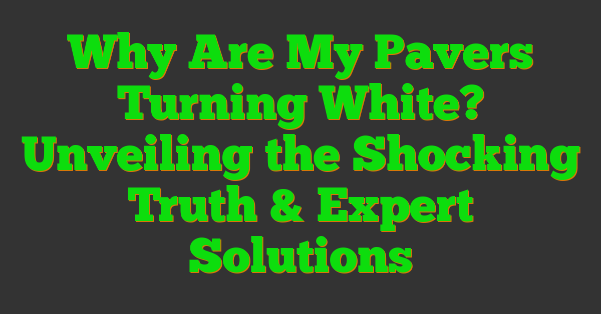 Why Are My Pavers Turning White? Unveiling the Shocking Truth & Expert Solutions