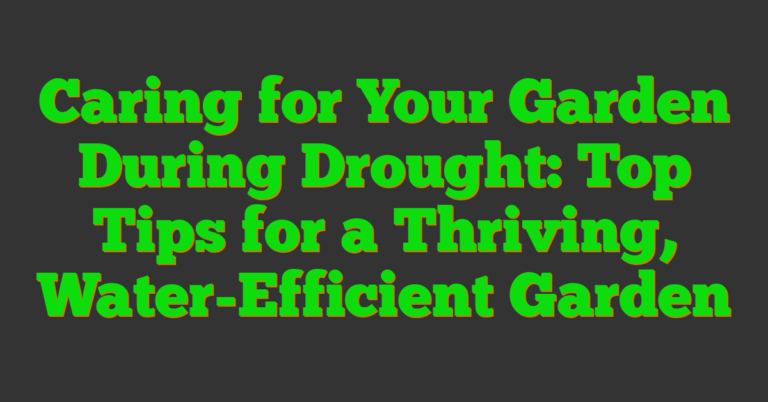 Caring For Your Garden During Drought: Top Tips For A Thriving, Water ...