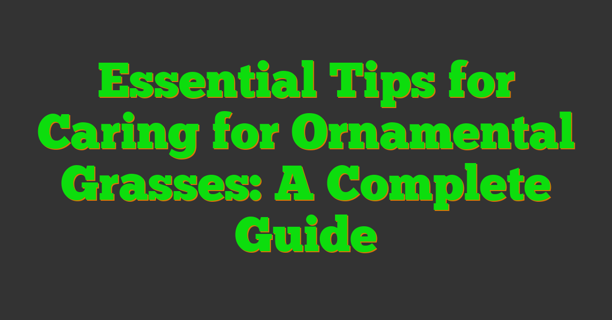 Essential Tips for Caring for Ornamental Grasses: A Complete Guide
