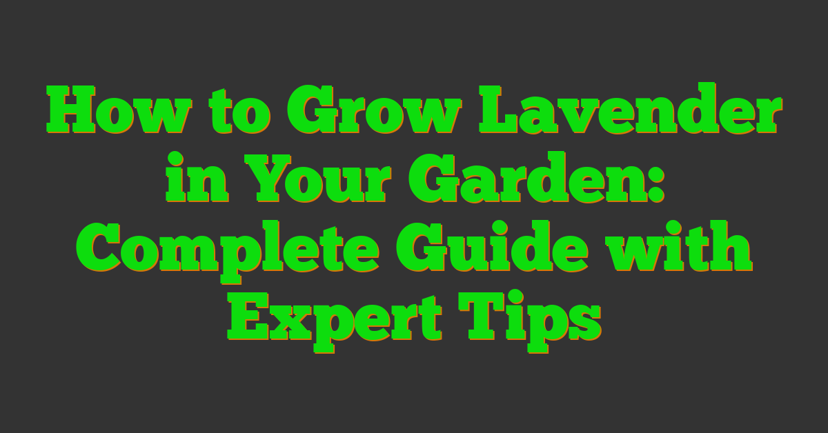 How to Grow Lavender in Your Garden: Complete Guide with Expert Tips
