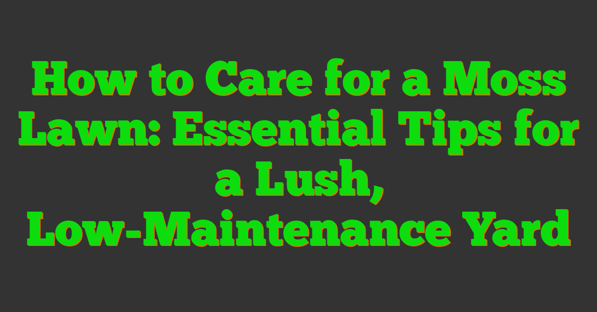 How to Care for a Moss Lawn: Essential Tips for a Lush, Low-Maintenance Yard