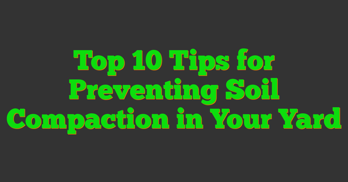 Top 10 Tips for Preventing Soil Compaction in Your Yard